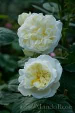 Kronprincesse Mary Castle ®